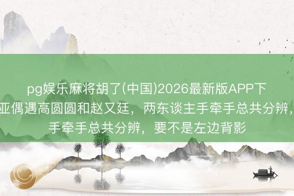 pg娱乐麻将胡了(中国)2026最新版APP下载 网友在海南三亚偶遇高圆圆和赵又廷,两东谈主手牵手总共分辨,要不是左边背影