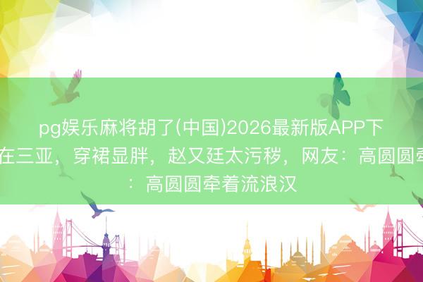pg娱乐麻将胡了(中国)2026最新版APP下载 高圆圆在三亚，穿裙显胖，赵又廷太污秽，网友：高圆圆牵着流浪汉
