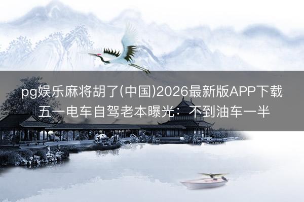 pg娱乐麻将胡了(中国)2026最新版APP下载 五一电车自驾老本曝光：不到油车一半