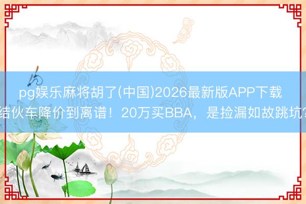 pg娱乐麻将胡了(中国)2026最新版APP下载 结伙车降价到离谱！20万买BBA，是捡漏如故跳坑？