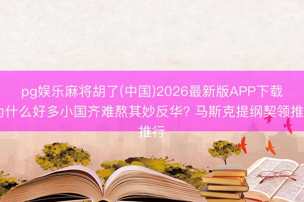 pg娱乐麻将胡了(中国)2026最新版APP下载 为什么好多小国齐难熬其妙反华? 马斯克提纲契领推行