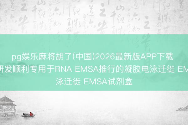 pg娱乐麻将胡了(中国)2026最新版APP下载 百代生物研发顺利专用于RNA EMSA推行的凝胶电泳迁徙 EMSA试剂盒