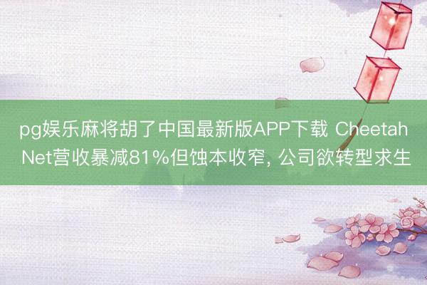 pg娱乐麻将胡了中国最新版APP下载 Cheetah Net营收暴减81%但蚀本收窄, 公司欲转型求生