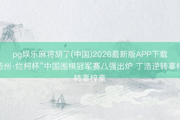 pg娱乐麻将胡了(中国)2026最新版APP下载 “衢州·烂柯杯”中国围棋冠军赛八强出炉 丁浩逆转辜梓豪