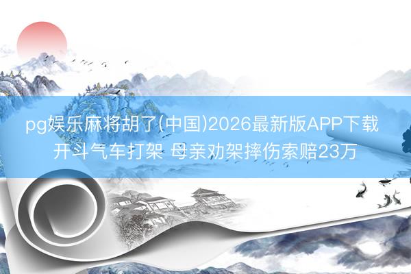 pg娱乐麻将胡了(中国)2026最新版APP下载 开斗气车打架 母亲劝架摔伤索赔23万