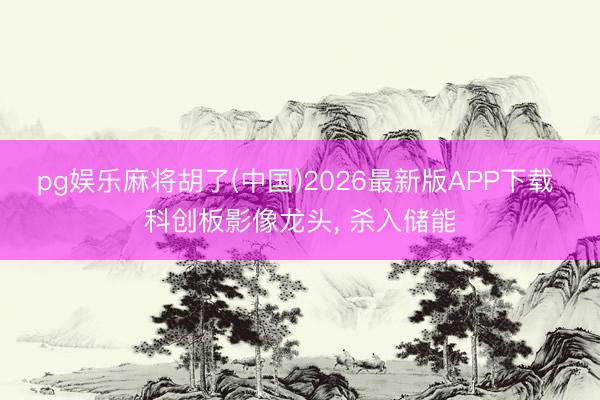 pg娱乐麻将胡了(中国)2026最新版APP下载 科创板影像龙头， 杀入储能