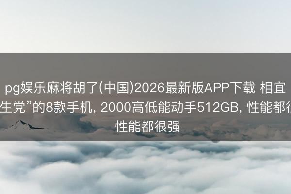pg娱乐麻将胡了(中国)2026最新版APP下载 相宜“学生党”的8款手机， 2000高低能动手512GB， 性能都很强