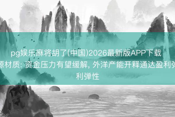 pg娱乐麻将胡了(中国)2026最新版APP下载 星源材质: 资金压力有望缓解， 外洋产能开释通达盈利弹性