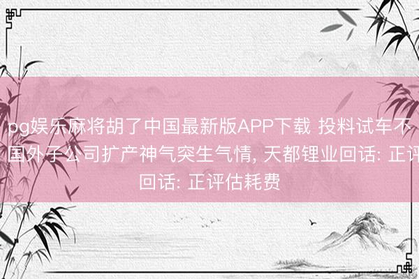pg娱乐麻将胡了中国最新版APP下载 投料试车不足半年, 国
