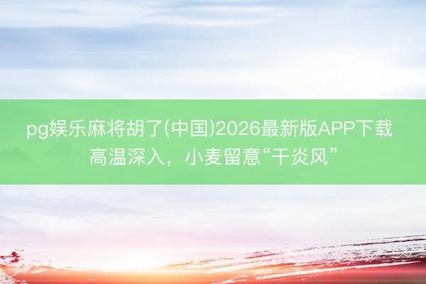 pg娱乐麻将胡了(中国)2026最新版APP下载 高温深入，小麦留意“干炎风”