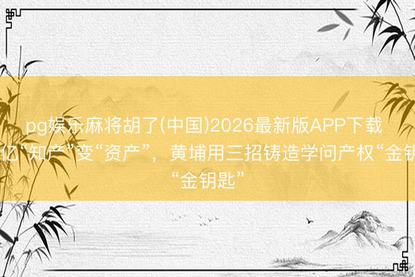 pg娱乐麻将胡了(中国)2026最新版APP下载 553亿“知产”变“资产”，黄埔用三招铸造学问产权“金钥匙”