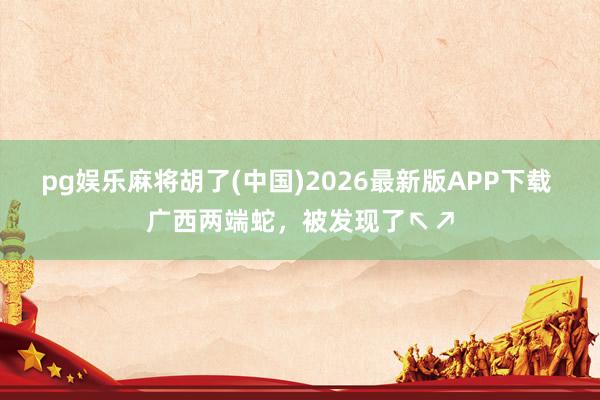 pg娱乐麻将胡了(中国)2026最新版APP下载 广西两端蛇，被发现了↖↗