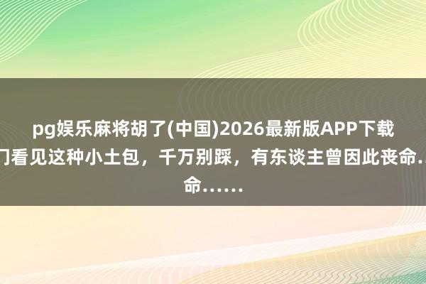 pg娱乐麻将胡了(中国)2026最新版APP下载 出门看见这种小土包,千万别踩,有东谈主曾因此丧命……
